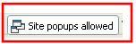 Google button