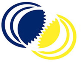 Wireless Logo