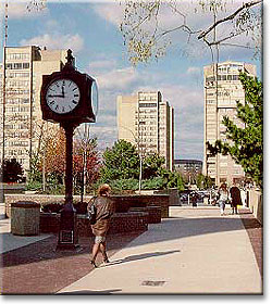 The Towers