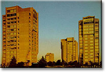 The Towers