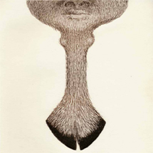 Ana Piazza's Project