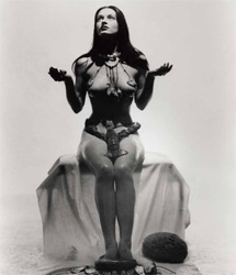 Christine Trotter's Project