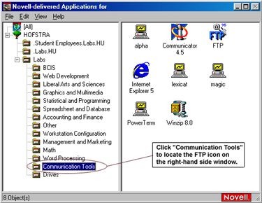Novell Applications Window