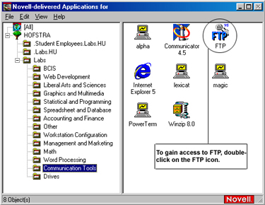 Novell Applications Window - FTP Application