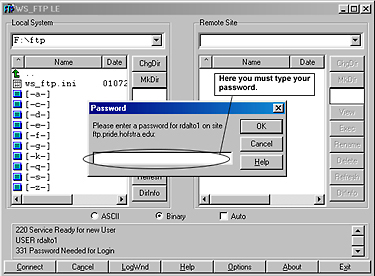 FTP Password Field