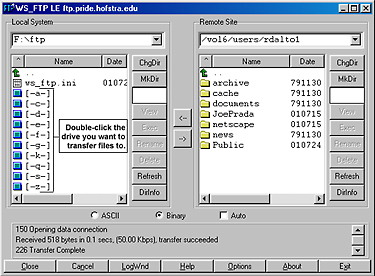 FTP Window - Local Drives View