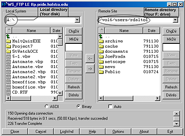 FTP Window - Remote and Local Directories