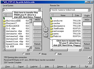 FTP Window - Upload/Download