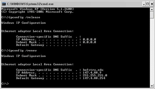 CMD Window
