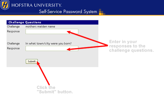 Challenge Questions