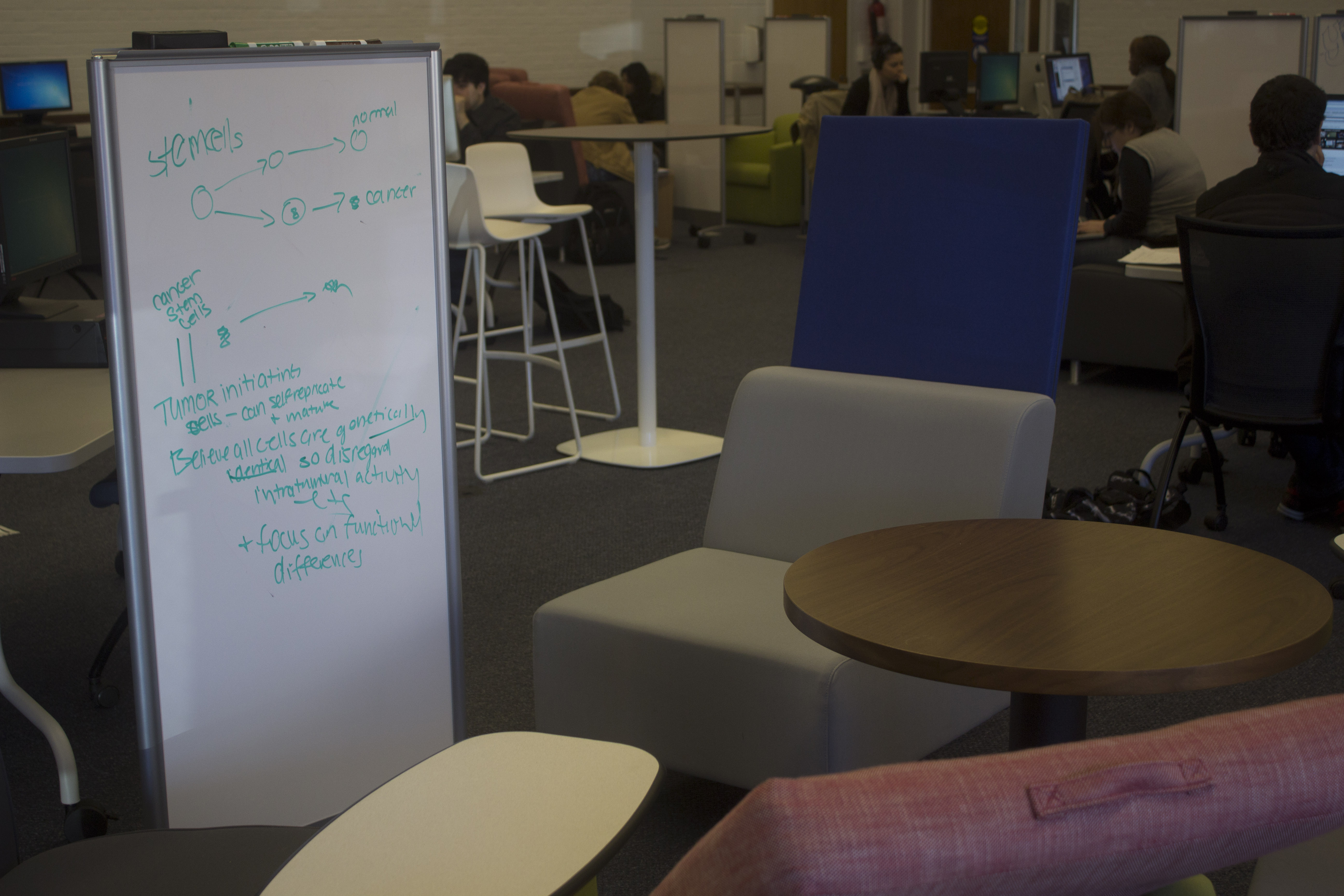 Calkins Lab