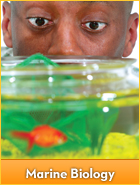 Marine Biology