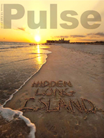 Pulse Magazine Web Site