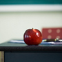 The SOC Teacher of the Year