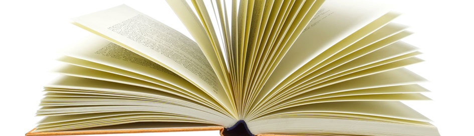 Symposium Honors Prof. Miguel-Angel Zapata