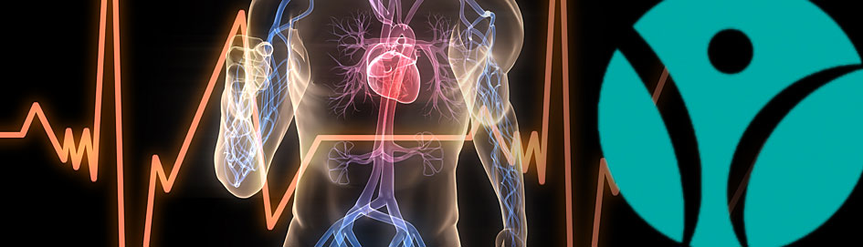 #hclasindex-caption-4 Engineering Excellence
