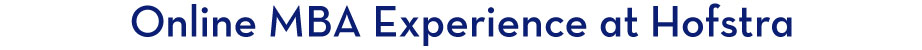Online MBA Experience at Hofstra