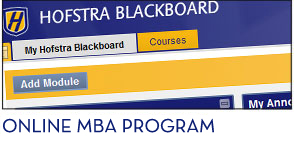 Online MBA Program
