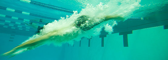 Hofstra Pool