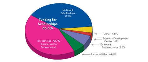 Components of Endowment Support 2008-09