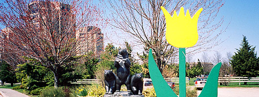 Campus and tulip