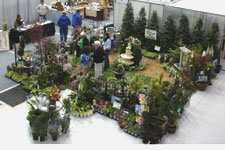 Garden Display