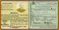 Chauffer License
