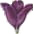flower bullet