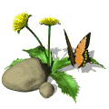 a butterfly and flowers