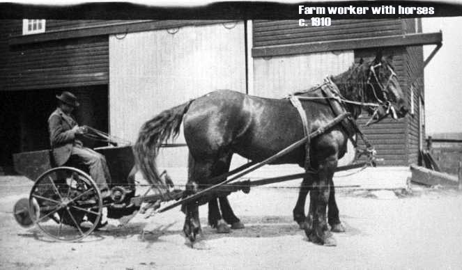Farm Worker With Horses 1910