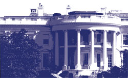 White House White House