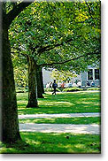 Hofstra Campus
