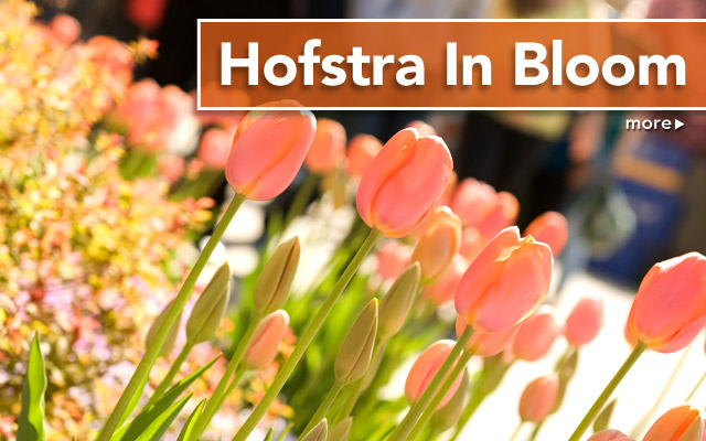 Hofstra in Bloom - more