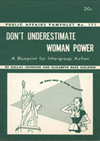Don't Underestimate Woman Power: A Blueprint for Intergroup Action brochure