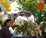 Dutch Festival in Spring