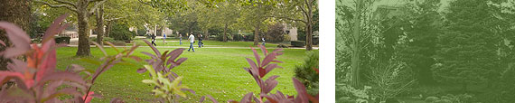 Arboretum