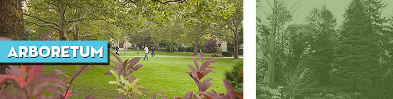 Arboretum