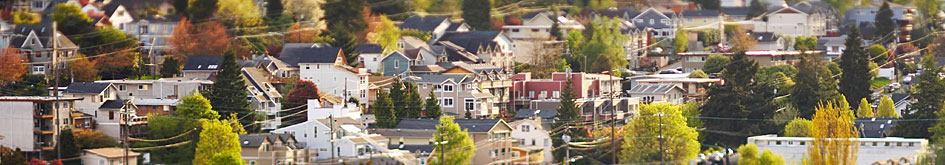 National Center for Suburban Studies at Hofstra University®