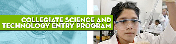 Collegiate Science and Technology Entry Program
