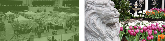 Flower and Garden Show