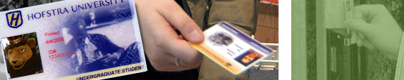 Hofstra Card