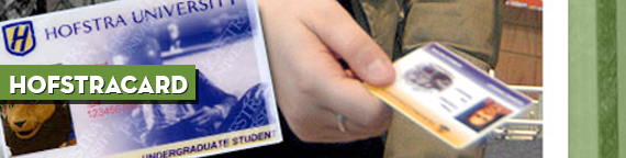HofstraCard