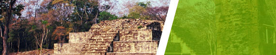 Latin American and Carribean Studies
