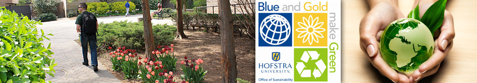 Sustainability, Environmental Stewardship, and Ecology