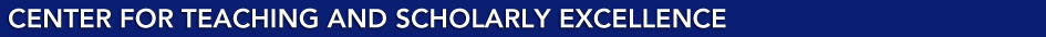 Center for Teaching & Scholarly Excellence