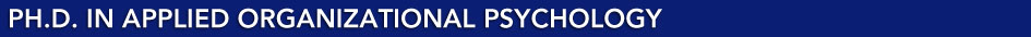 Ph.D. in Applied Organizational Psychology
