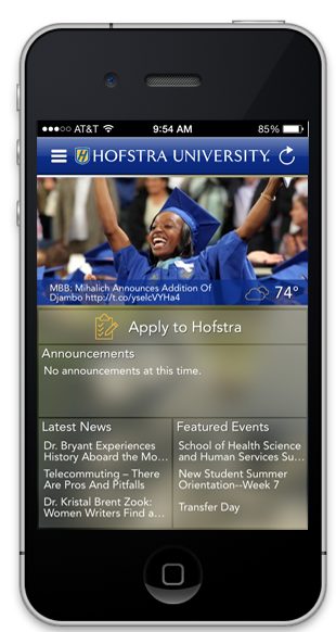 iPhone Native Application