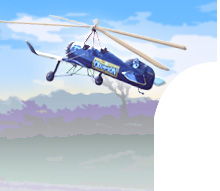 Autogiro Conference