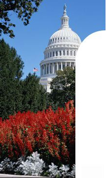 Political Science