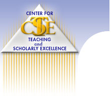 The Center for Teaching and Scholarly Excellence